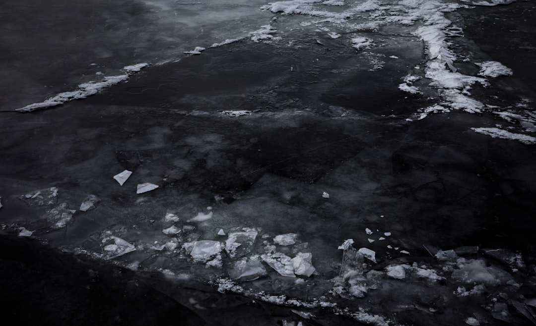 The exterior of a federal courthouse in Minnesota