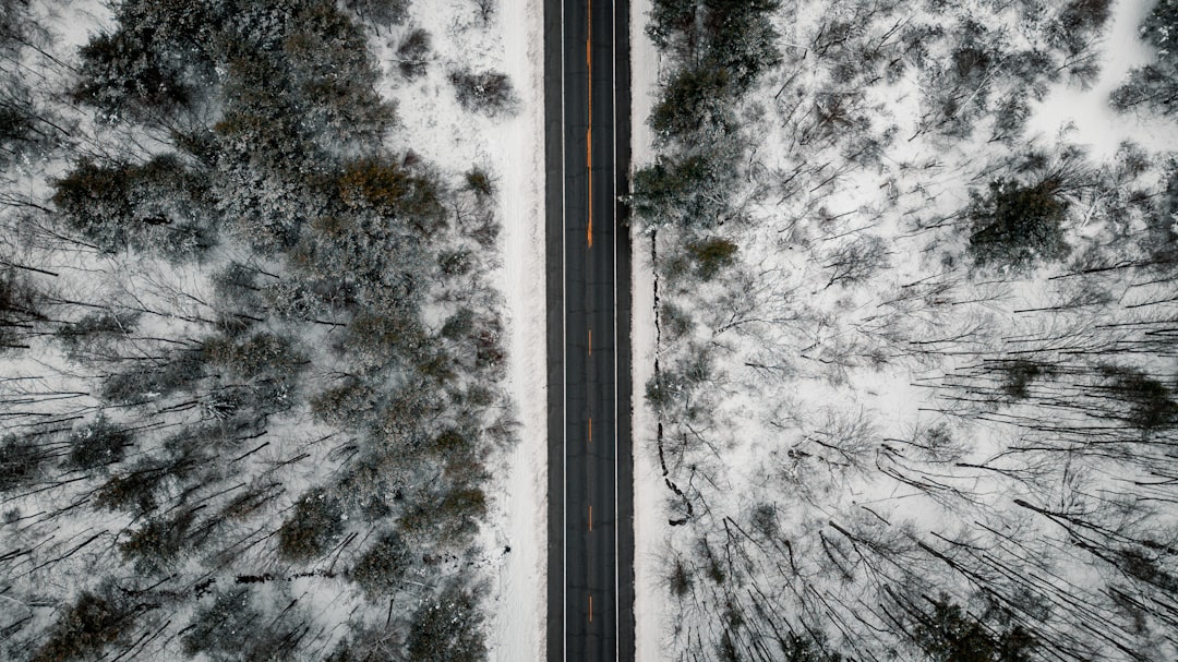 Snowplows clearing a highway in Chicago