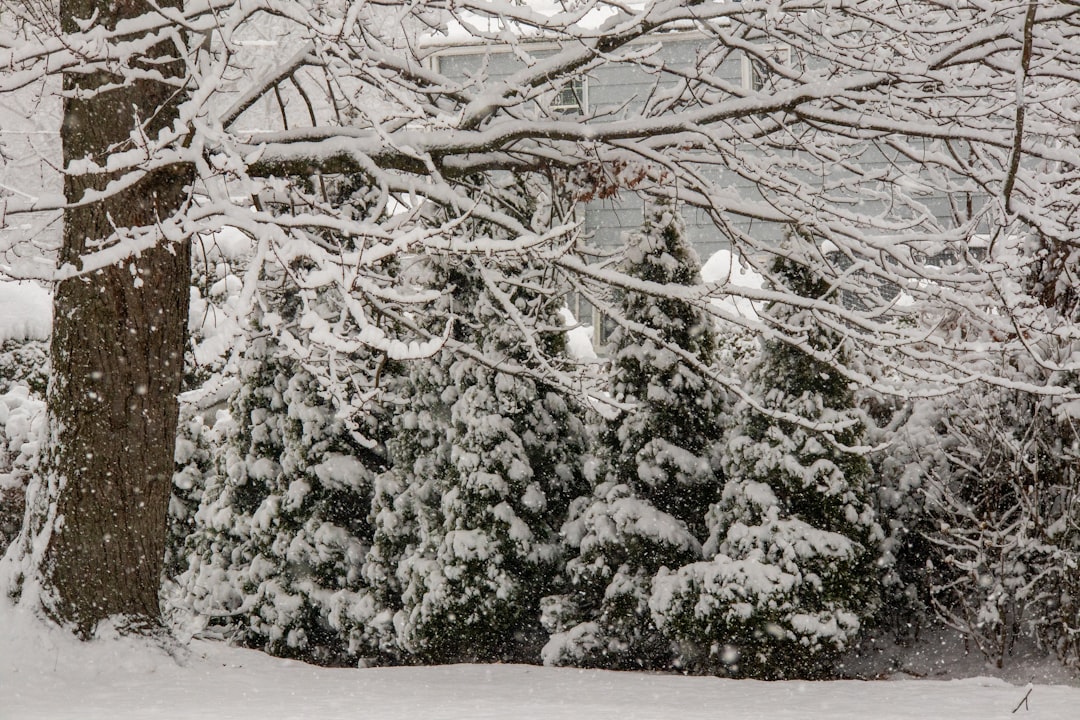 A map showing predicted snow totals across New Jersey, highlighting areas with the highest expected accumulations