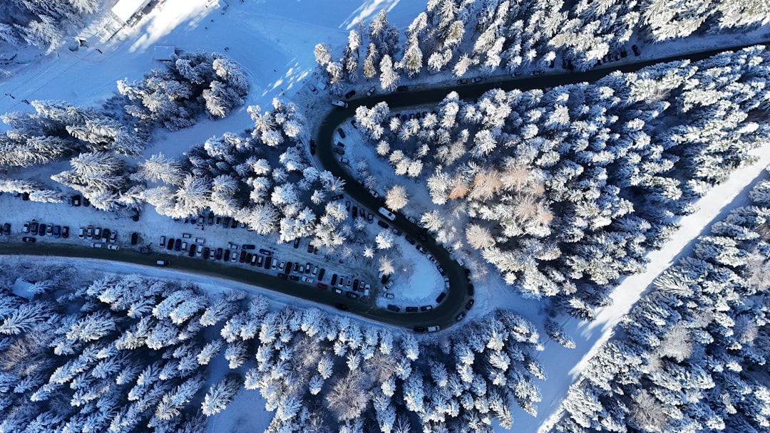 Aerial view of Frosty Faustings XVIII venue filled with attendees