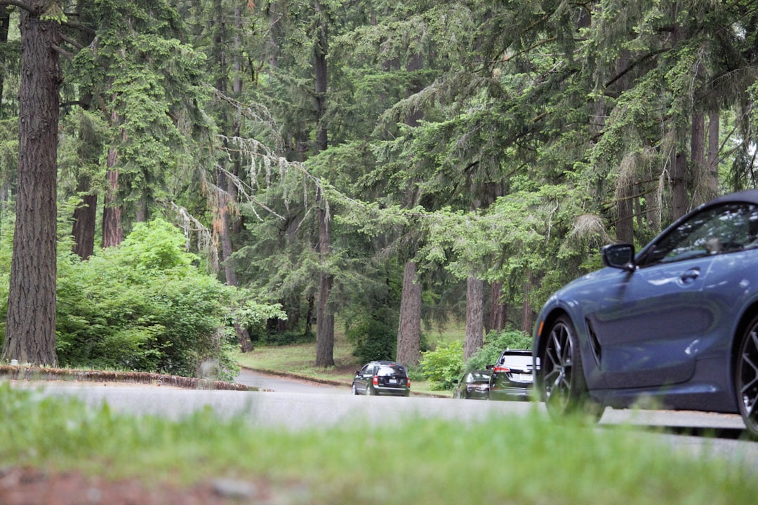 Police vehicles at the crime scene in Parkland, Washington