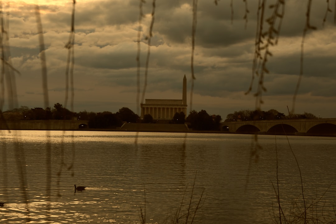A map of Washington, D.C., highlighting its electoral district