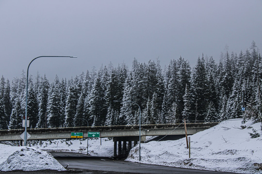 Snow-covered highway with stranded vehicles