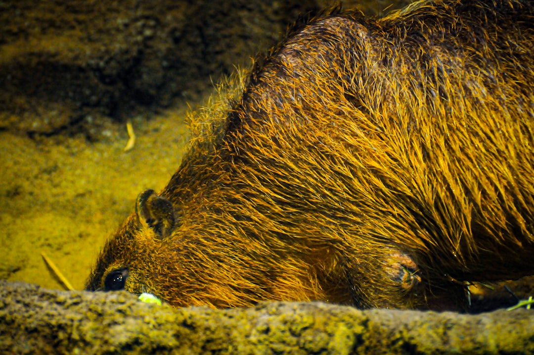 Dylan Beavers hitting a home run during a game