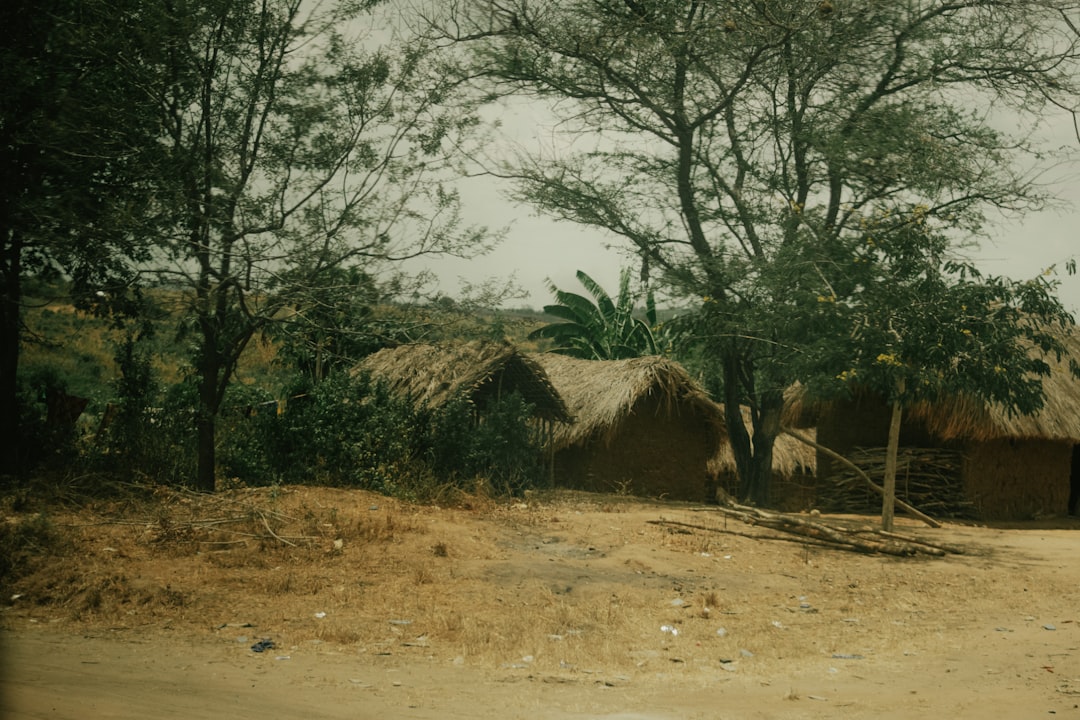 Scene from the documentary showing historical footage of Palestinian refugees