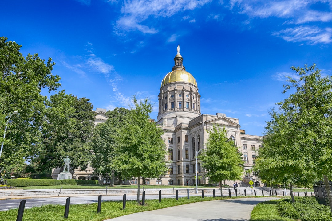 Georgia voting booth during elections