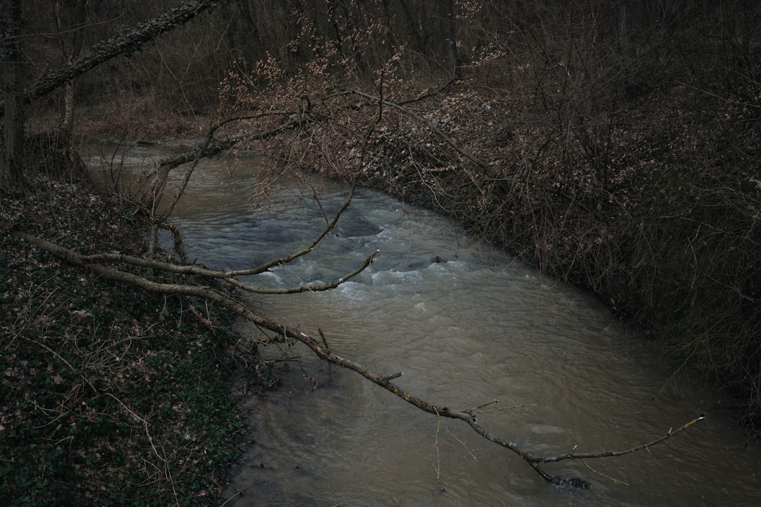 Catherine O'Hara on the set of 'Schitt's Creek'