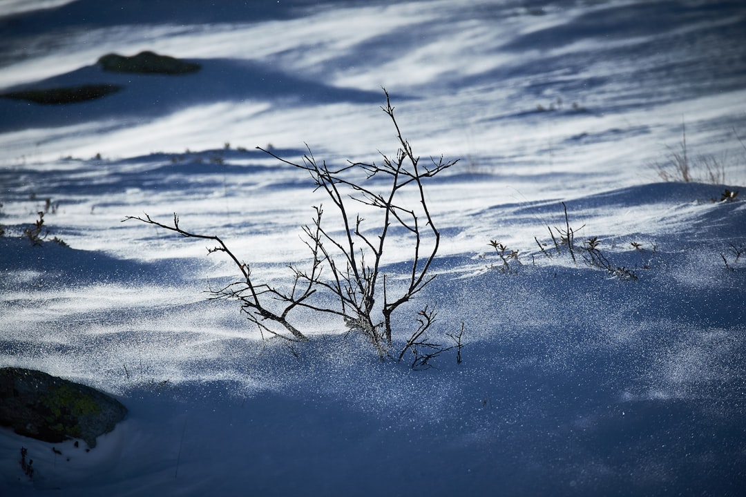 J.D. Vance speaking at a podium