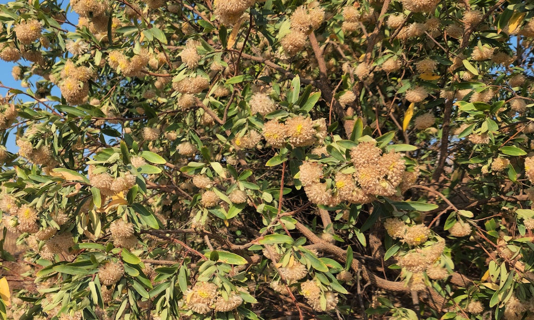 Timothy Busfield shopping at a grocery store