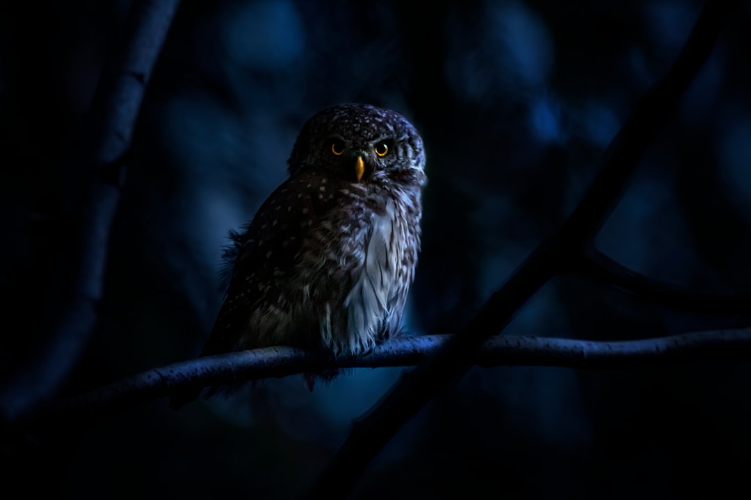A person looking at a clock late at night