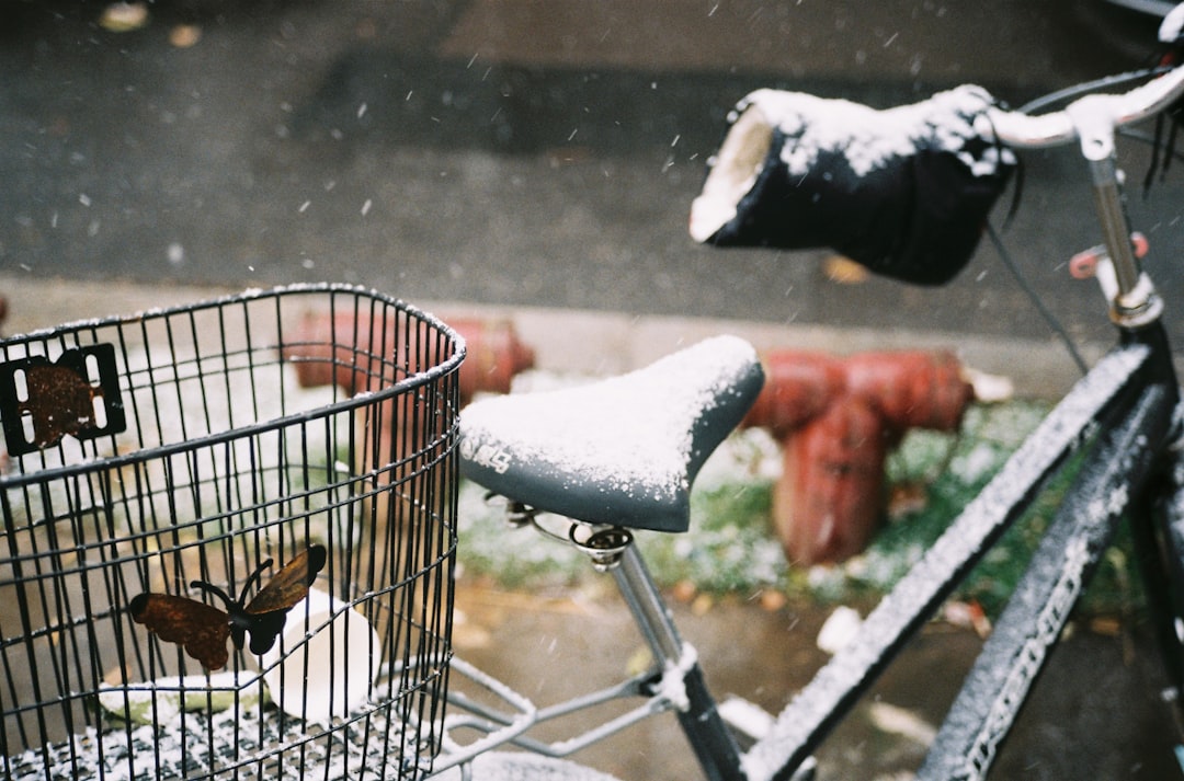Residents shopping for supplies in a crowded grocery store ahead of a storm
