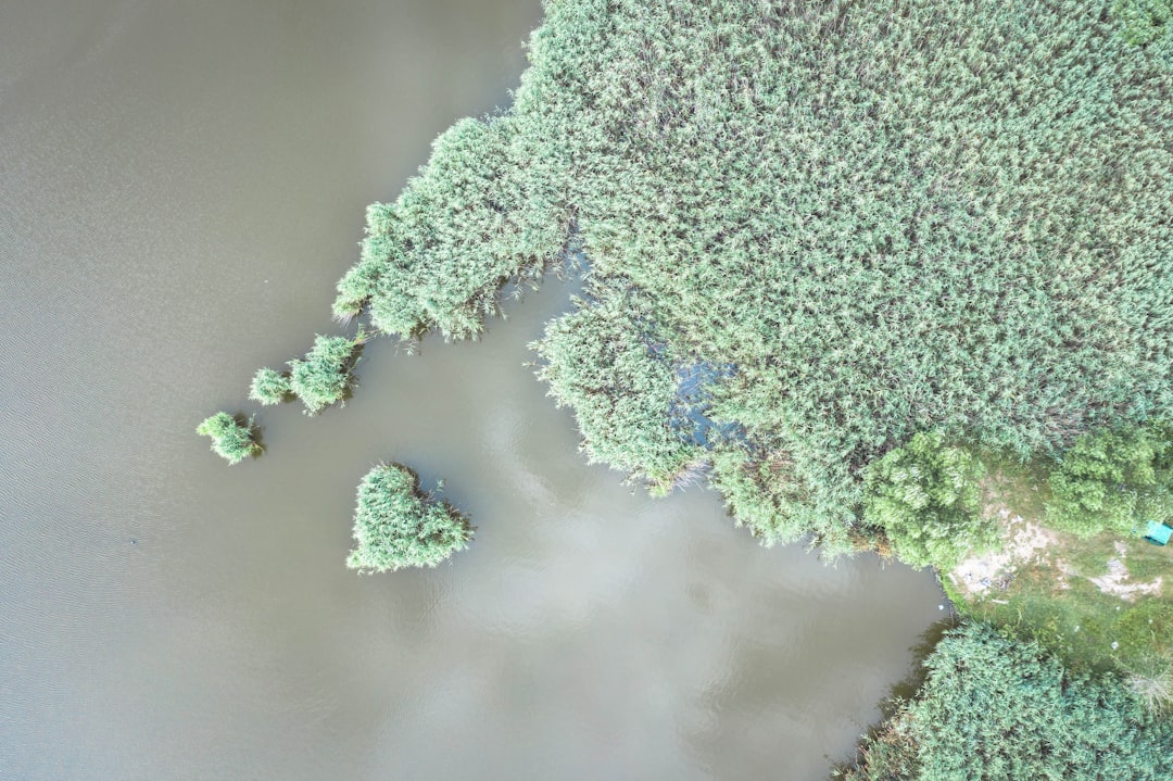 Aerial view of Kossuth County farmlands