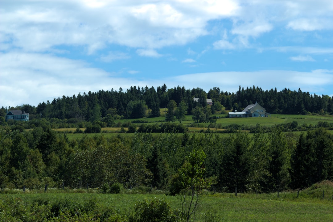 Exterior view of Timothy Busfield's New Mexico villa
