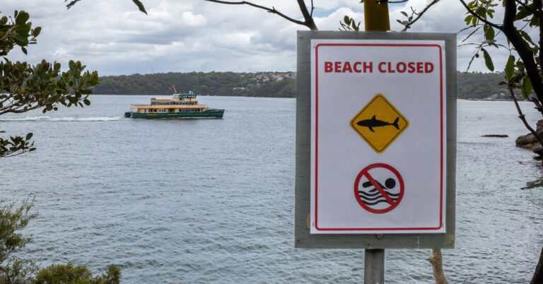 12-Year-Old Dies in Shark Attack Near Sydney Beaches