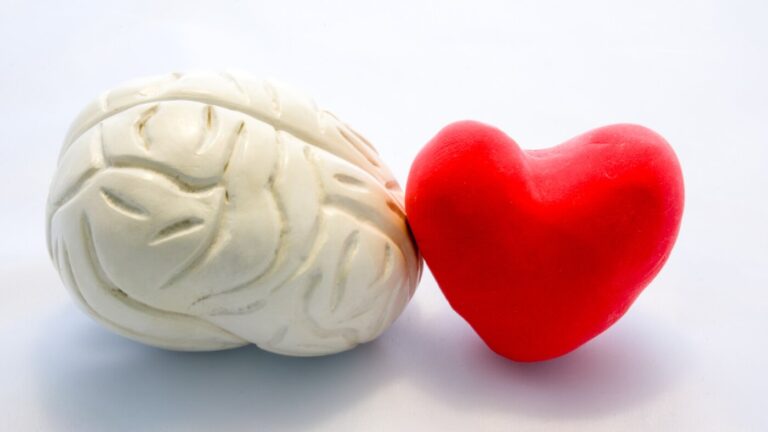 New Pathway Between Brain and Heart Offers Hope for Therapies