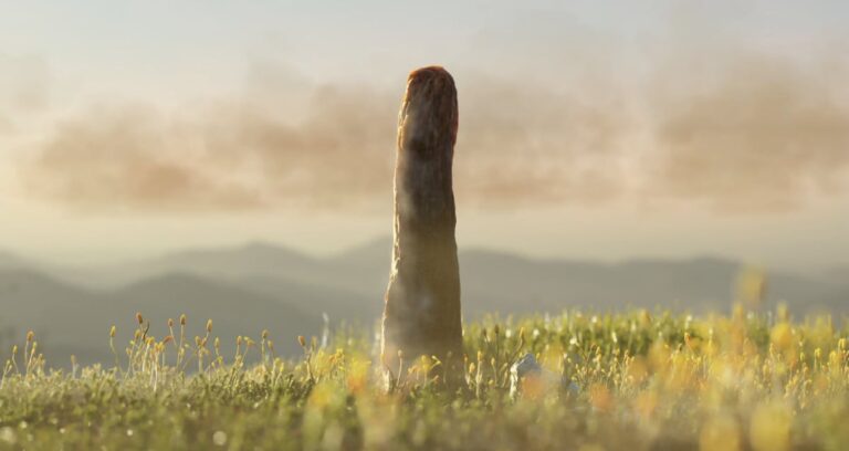 Prototaxites: Discovery Suggests New Life Form