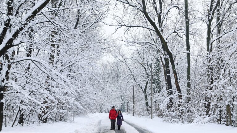 The Surprising Benefits of Being Outdoors in Cold Weather