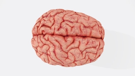 Top 3 Brain-Boosting Supplements Recommended by Neuroscientist