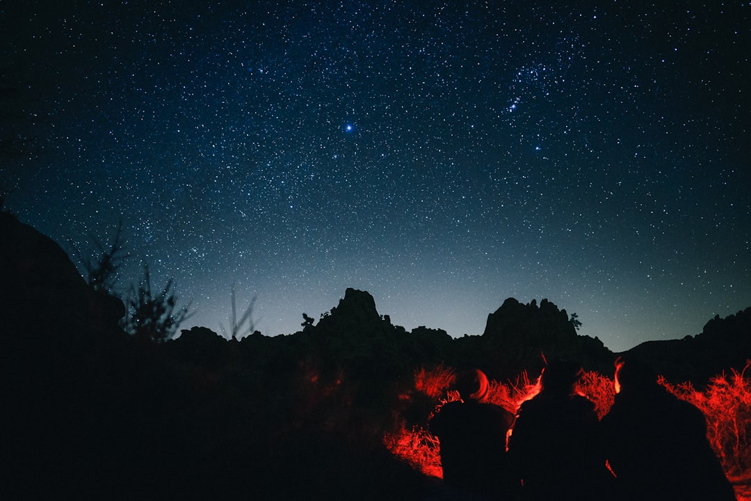 A group of people stargazing in a dark-sky park
