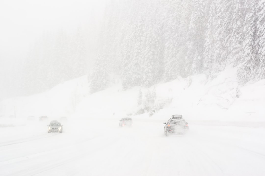 Image of a snow-covered road with downed power lines