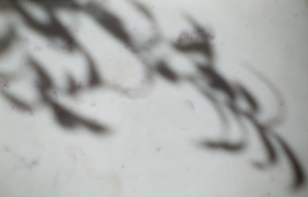 A portrait of Reshona Landfair speaking during the interview