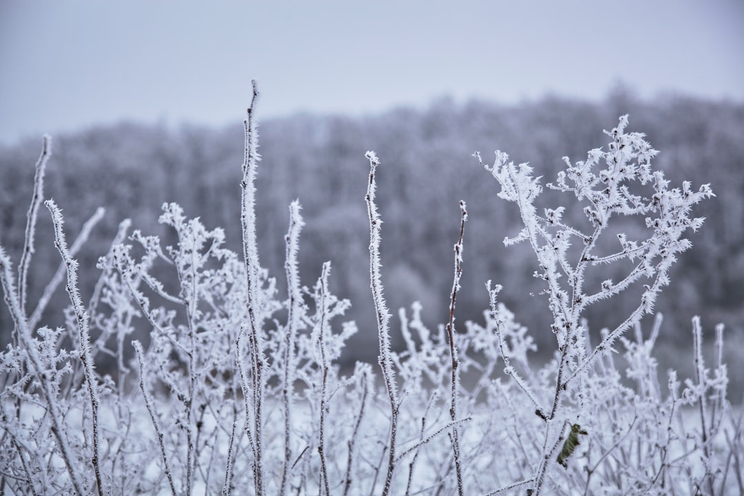 Competitors intensely focused during a match at Frosty Faustings